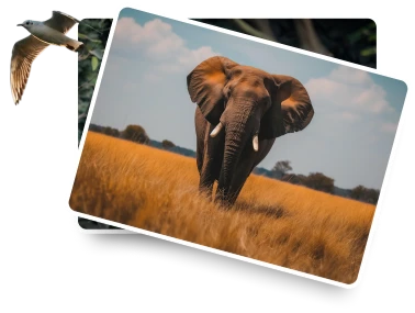 Vialis Travel curated tour highlights collage