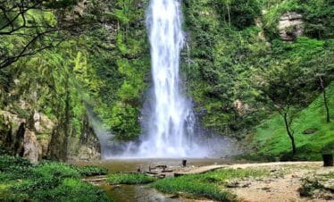 4-Days Ghana Wildlife & Nature Expedition - Cover