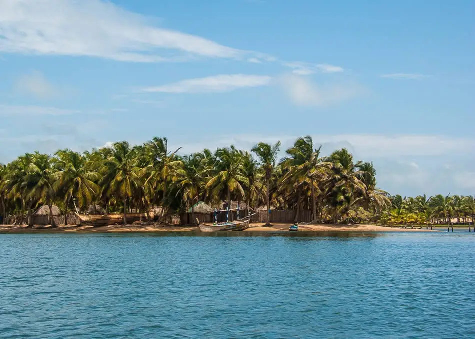 Palm-lined coastal lagoon with wooden fishing boats along Ghana's shoreline