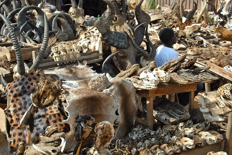 Sacred Python Temple entrance in Ouidah, Benin