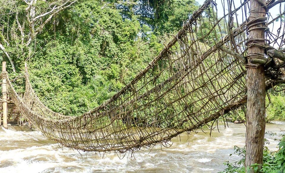 Liana suspension bridge above the rainforest canopy in Tai National Park, southwest Cote d'Ivoire