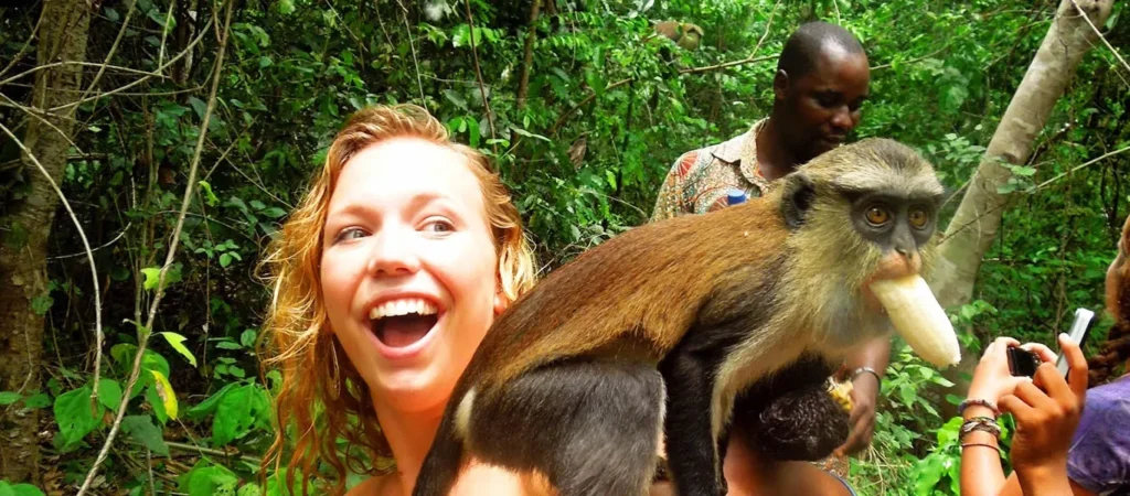 Traveler meeting a mona monkey at a Ghana monkey sanctuary