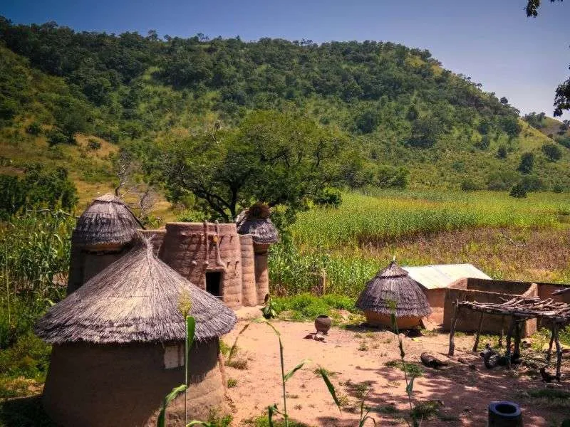 Tata Somba mud fortress houses in the Koutammakou landscape, Togo