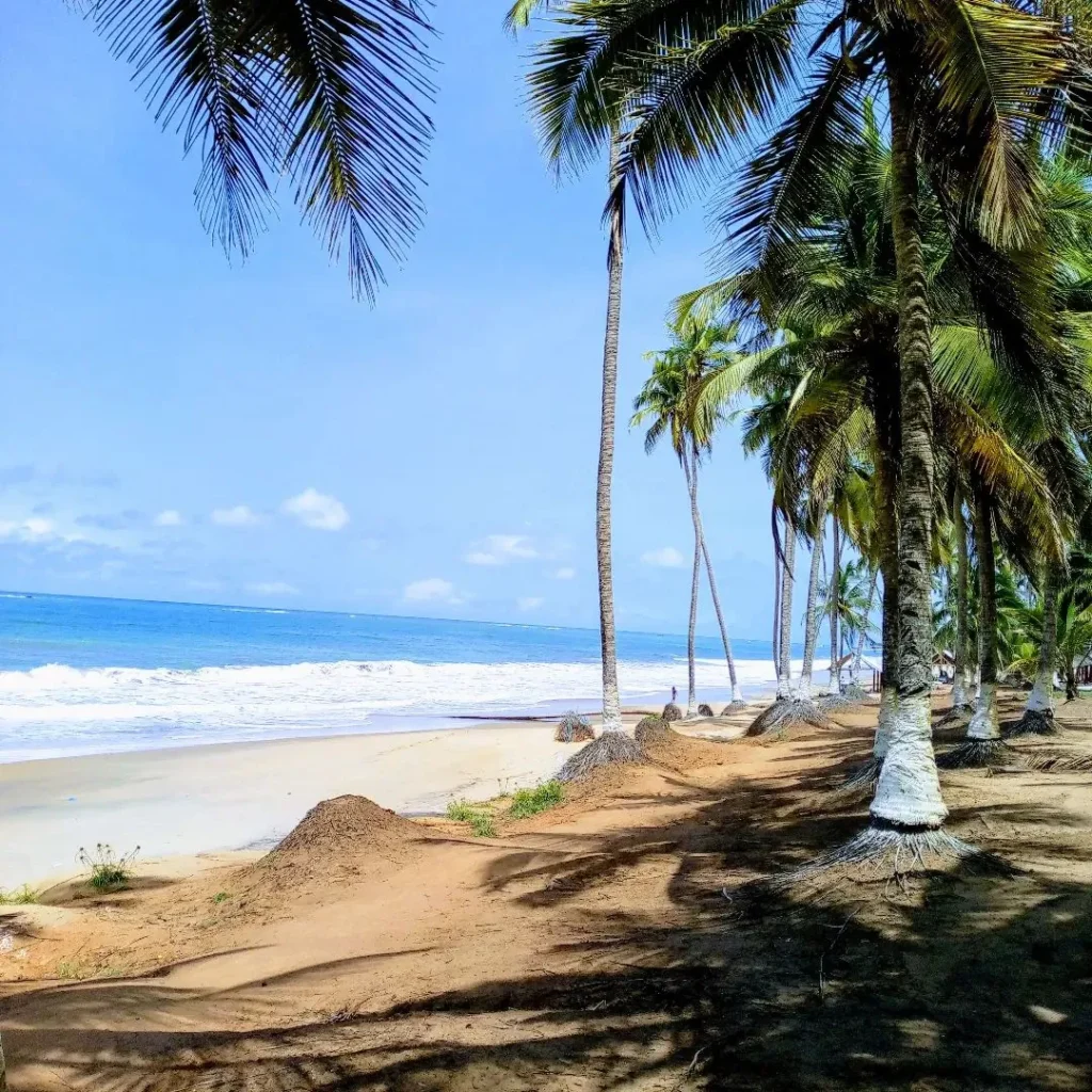 Palm-fringed beach on Ghana Atlantic coast in West Africa.