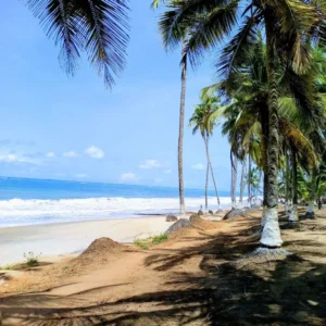 Palm-fringed beach on Ghana Atlantic coast in West Africa.