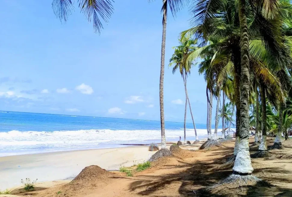Palm-fringed beach on Ghana Atlantic coast in West Africa.
