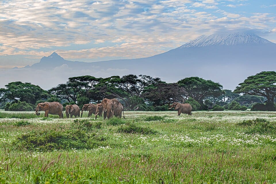 Kenya